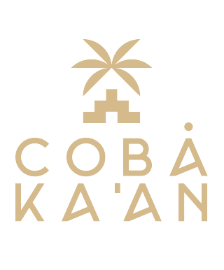 logotipo NAARA